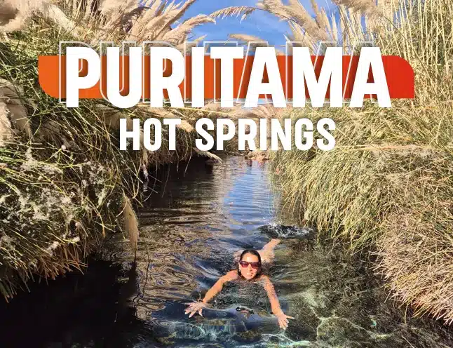 Transfer to Puritama Hot Springs + Entrance Ticket