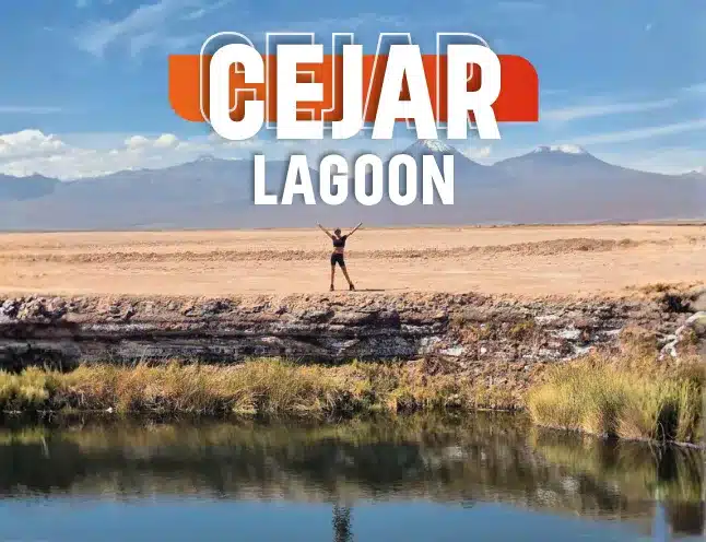 Cejar Lagoon, Eyes of the Salt Flat, and Tebinquinche Lagoon